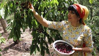 delicious simple food recipeNomadic lifestyle of IranRural life of Iranlapolo kebab