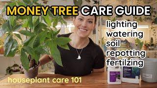 How To Care For Money Tree Plant - Watering Light Soil Repotting & Fertilize -Houseplant Care 101