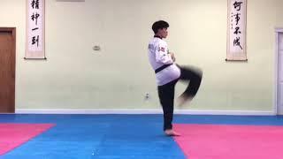 Taekwondo Taegeuk 1JangIl Jang 태극 1장