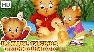 Daniel Tiger - My Baby Sister is the Best  Videos for Kids