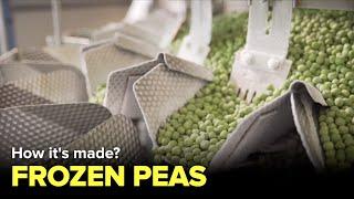 How frozen peas are made? Inside Factory - Factories