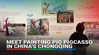 Meet painting pig Pigcasso in Chinas Chongqing