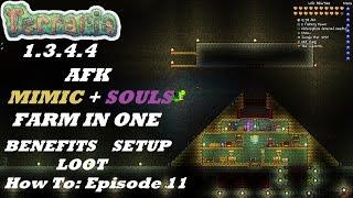 Terraria 1.3.4.4 HOW TO  Build an AFK Mimic + Souls Farm in ONE  Expert  Episode 11