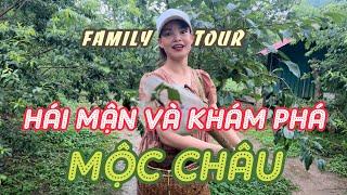 Thung lũng mận Nà Ka - Mộc Châu - Sơn La