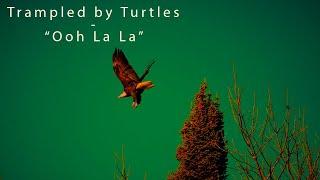 Trampled by Turtles - Ooh La La - Faces cover Official Video