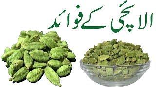 Elaichi khane ke fayde in urdu Green cardamom Health Benefits