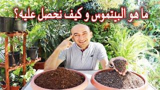 ما هو البيتموس و من اين نحصل عليه What is Peat Moss?