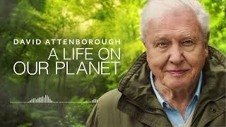 David Attenborough  A Life On Our Planet  Audio Book