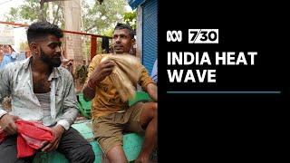 Scientists say Indias heatwave offers disturbing glimpse into future  7.30