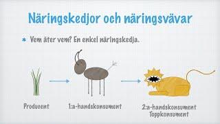 Näringskedjor och näringsvävar