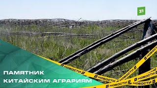 Поля в Красноармейском районе до сих пор заставлены разваленными теплицами