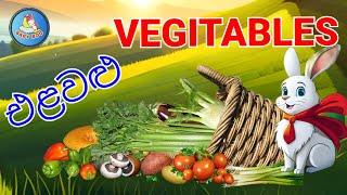 Names of the Vegetables in Sinhala and English එළවලු වල නම් සිංහලෙන් සහ ඉංග්‍රීසියෙන්