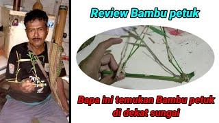 Bambu petuk asli dan palsu keunikan bambu petuk