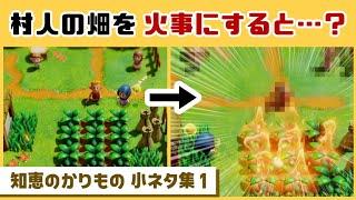 【ゼルダ知恵かり】村人の畑を火事にしてしまうと…まさかの反応が…！？ゲームに隠れた細かすぎる小ネタ集【ゼルダの伝説 知恵のかりもの】@レウンGameTV