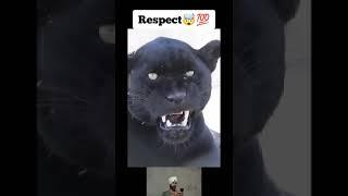 @respect