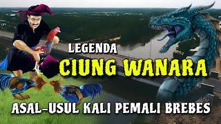 Legenda ciung wanara-asal usul kali pemali brebes-& cerita keraajaan galuh