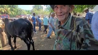 Saludos les Manda el Pájaro  desde El Tránsito San Miguel El Salvador On 