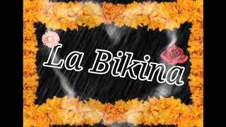‍La Bikina‍