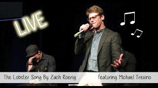 Zach Roerig singing on stage