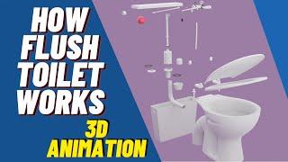 How Flush Toilet Works?  3D Animation  Siphon