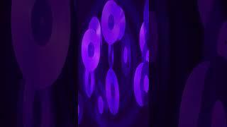 #shorts Wamdue Project - King Of My Castle - Purple Disco Machine #shorts