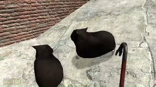 playing some gmod with npcs from doors and some maxwell the cat