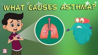 What Causes Asthma?  The Dr. Binocs Show  Best Learning Videos For Kids  Peekaboo Kidz