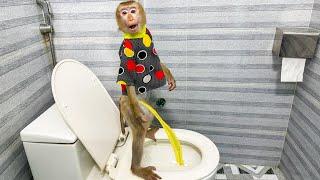 Unveiling the Genius of the Monkey Kaka Self-Urination Mastery