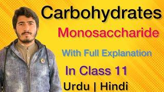 Carbohydrates MonosaccharideClassification and Functions in Class 11