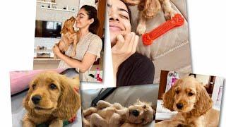 Rashmika Mandanna and Her Super Cute Puppy