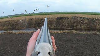 Hunting - Duck Hare Pigeon