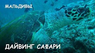 Мир Приключений - Лучшее дайвинг сафари на Мальдивах. The Best Diving safari. Maldives.