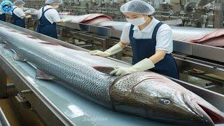 How To Prepare This Giant Fish - Amazing Fish Cutting Techniques