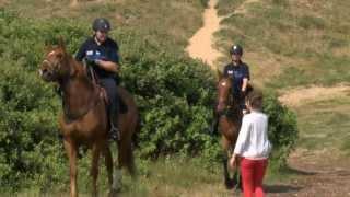 Dessine-moi un été  Policier à cheval