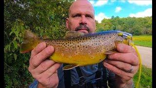 Trout Fishing the Upper Little Trimbelle