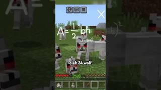 Pov Ketika Albert Einstein di kejar Wolf Di Minecraft..