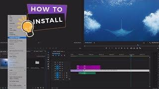 How to install and use our +500 Transitions for Premiere Pro  Vamify