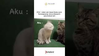 Aku Sih No Kamu? #shorts #meme #videolucu #iklanlucu #kucinglucu #povindonesia #viral