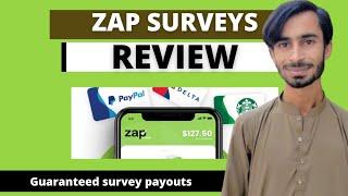 ZAP SURVEYS REVIEW 2024   Tap And Warn Huge Money 