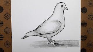 Kolay Karakalem Kuş Resmi Adım Adım Nasıl Çizilir Ögretici Kolay Çizim Videoları