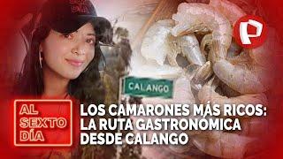 En busca de los camarones más ricos La ruta gastronómica desde Calango