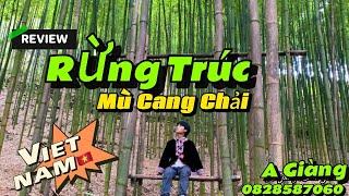 Review - Khám Phá Rừng Trúc Mù Cang Chải - Yên Bái