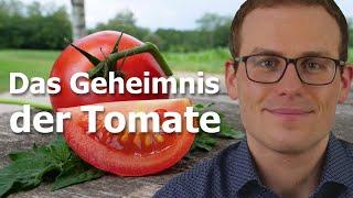 Mit diesen Tipps & Tricks werden Tomaten erst richtig gesund