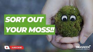 TIME TO THINK ABOUT TREATING YOUR LAWN MOSS