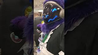 Texas Furry Fiesta 24 #furries