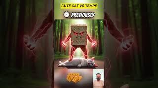 cute cat vs tempeh #cute #cat #catlover #kitten #shorts #short #kucing