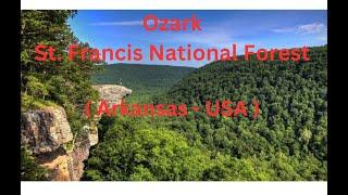 Ozark St  Francis National Forest Arkansas - USA