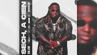 Sal y Perrea Sped Up - Sech Audio Oficial