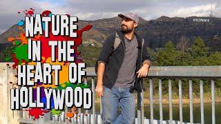 HOLLYWOOD RESERVOIR TOUR - The Incredible Secret Nature Hidden In The Heart Of Hollywood