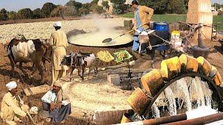 Unseen Beautiful Village Life in Pakistan  Beautiful Old Culture of Punjab